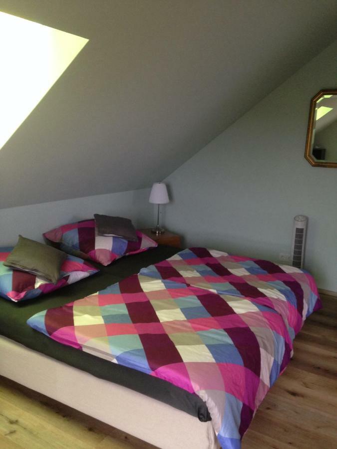 Loreley Bed And Breakfast Bornich Exteriér fotografie